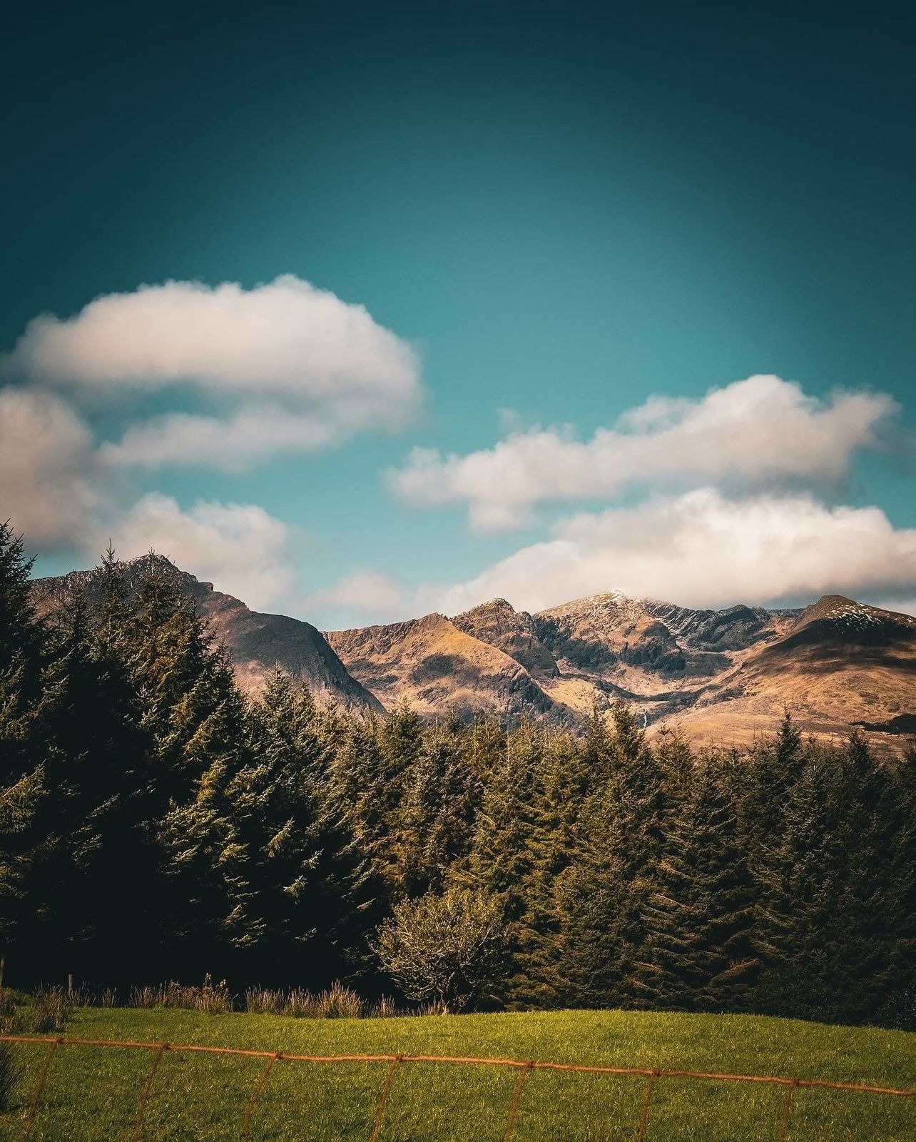 Dingle mountain peaks seen beyond a stand of trees