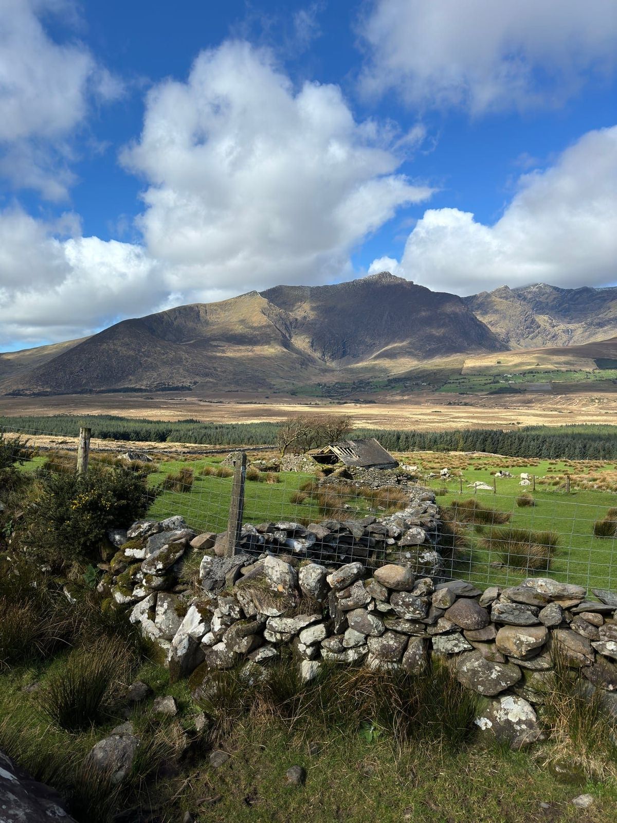 Stone walls and fields beneath the Brandon mountains