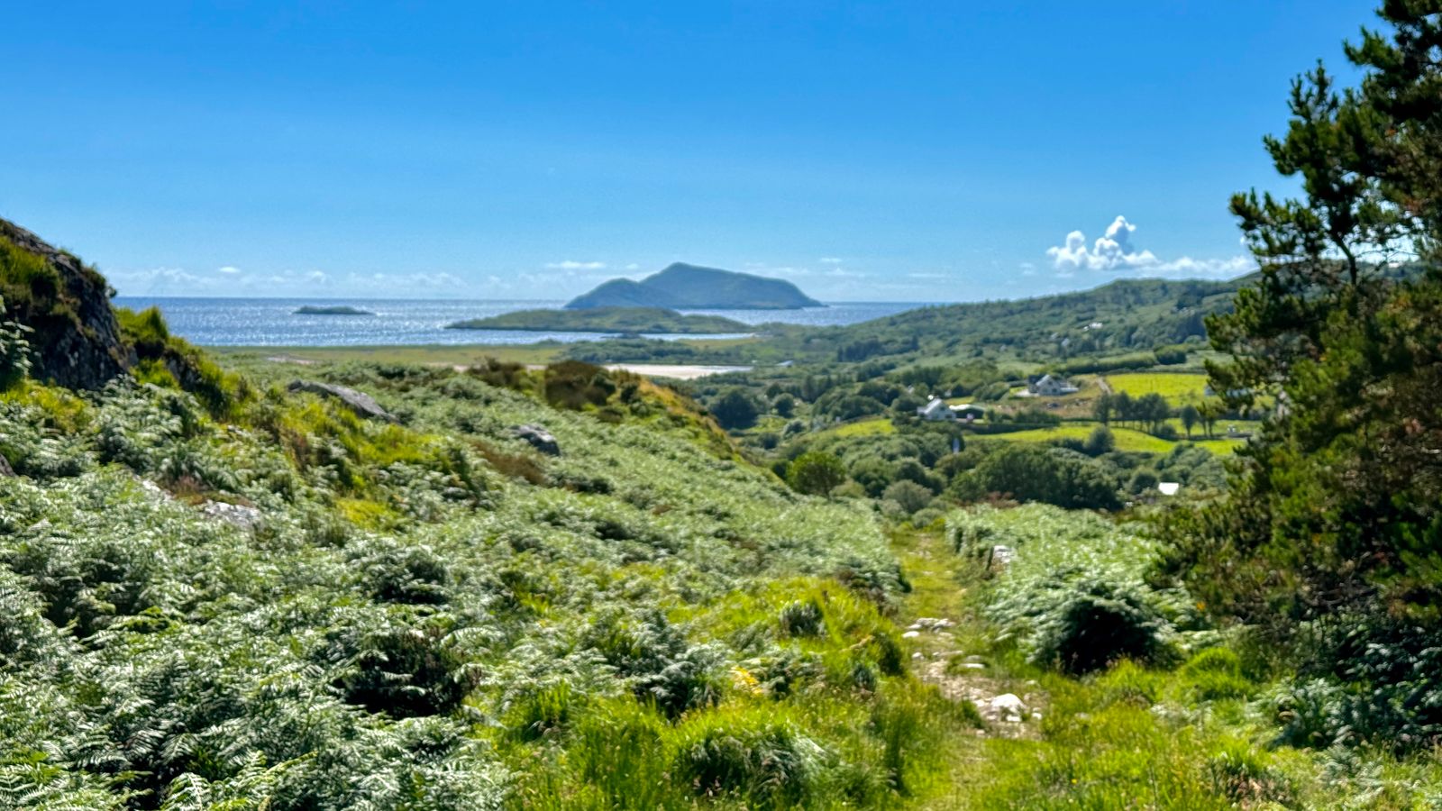 A rough grassy trail overlooking green fields, islands and blue sea