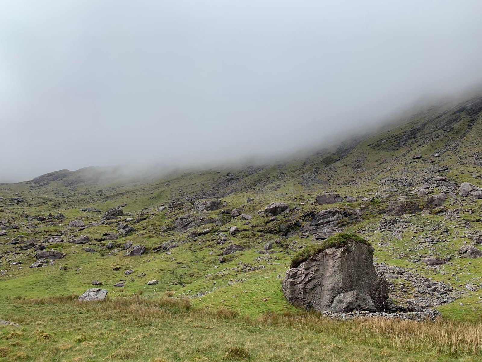 The green and rocky Black Ladder gully disappearing into cloud