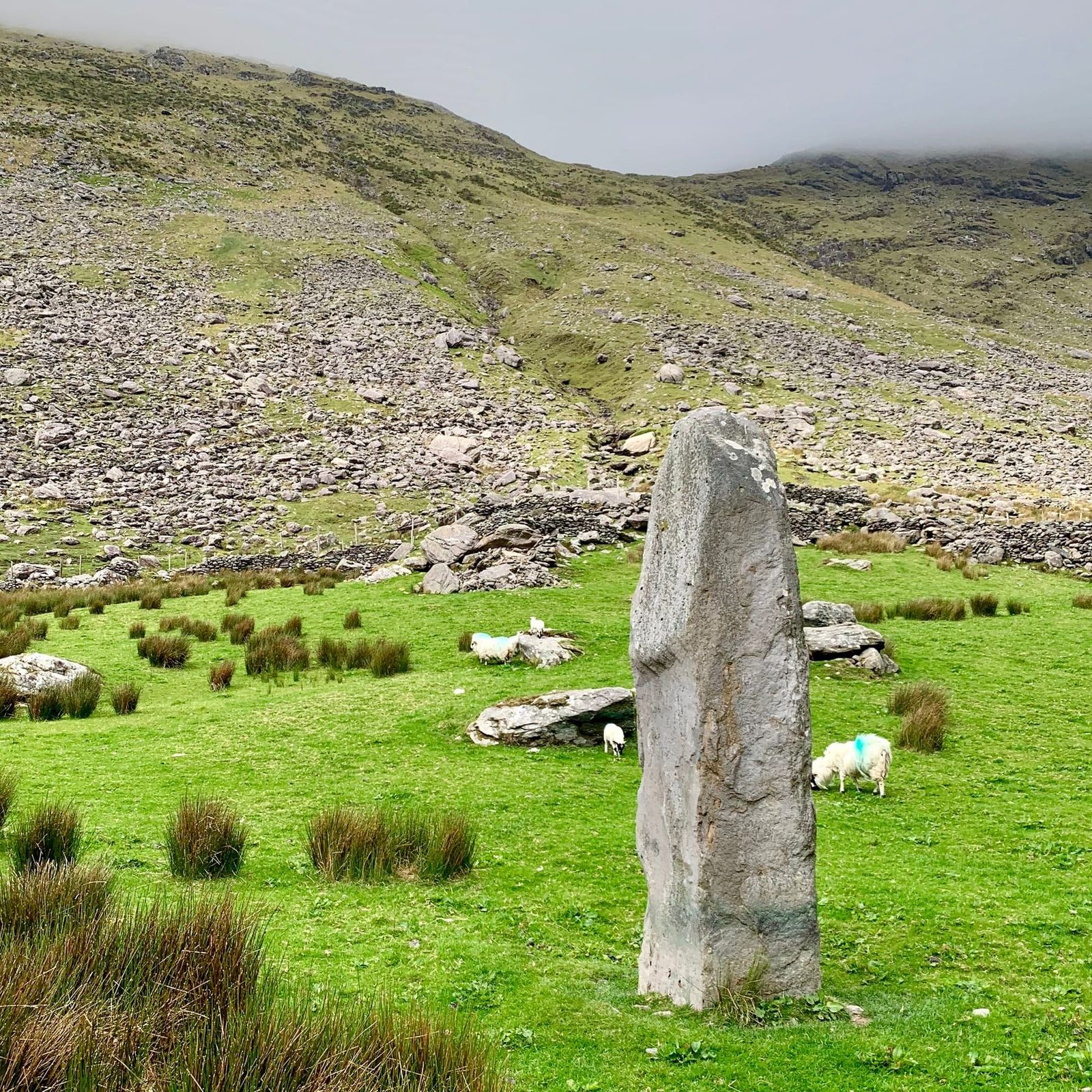 A tall stone on bright valley ground with sheep grazing beyond