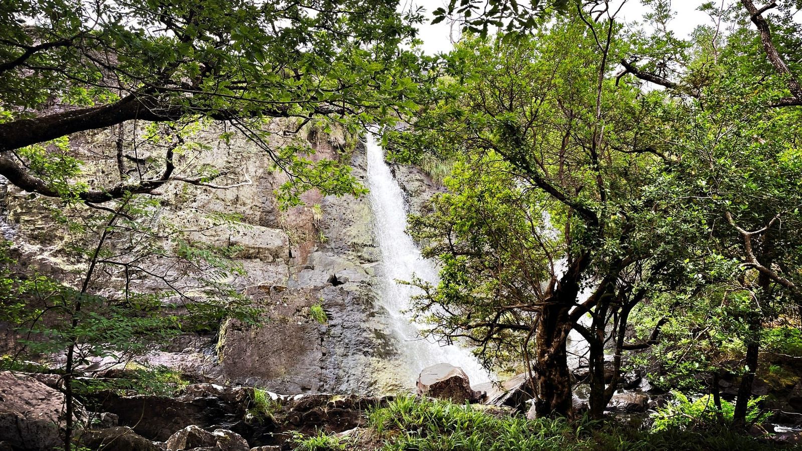 The narrow upper fall framed by mature woodland