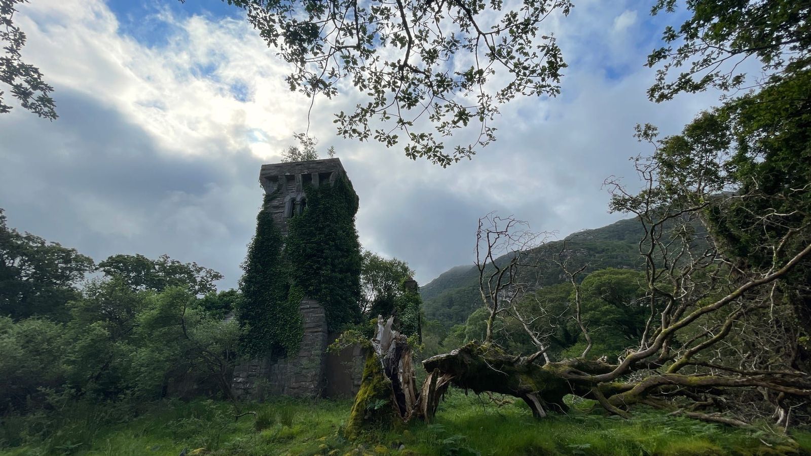 An ivy-covered stone tower rising among the trees