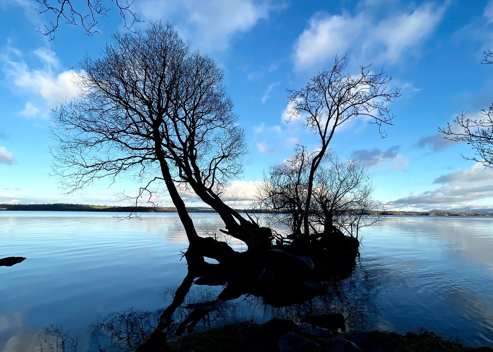 Trees silhouetted beside the still water of Lough Leane under a blue sky
