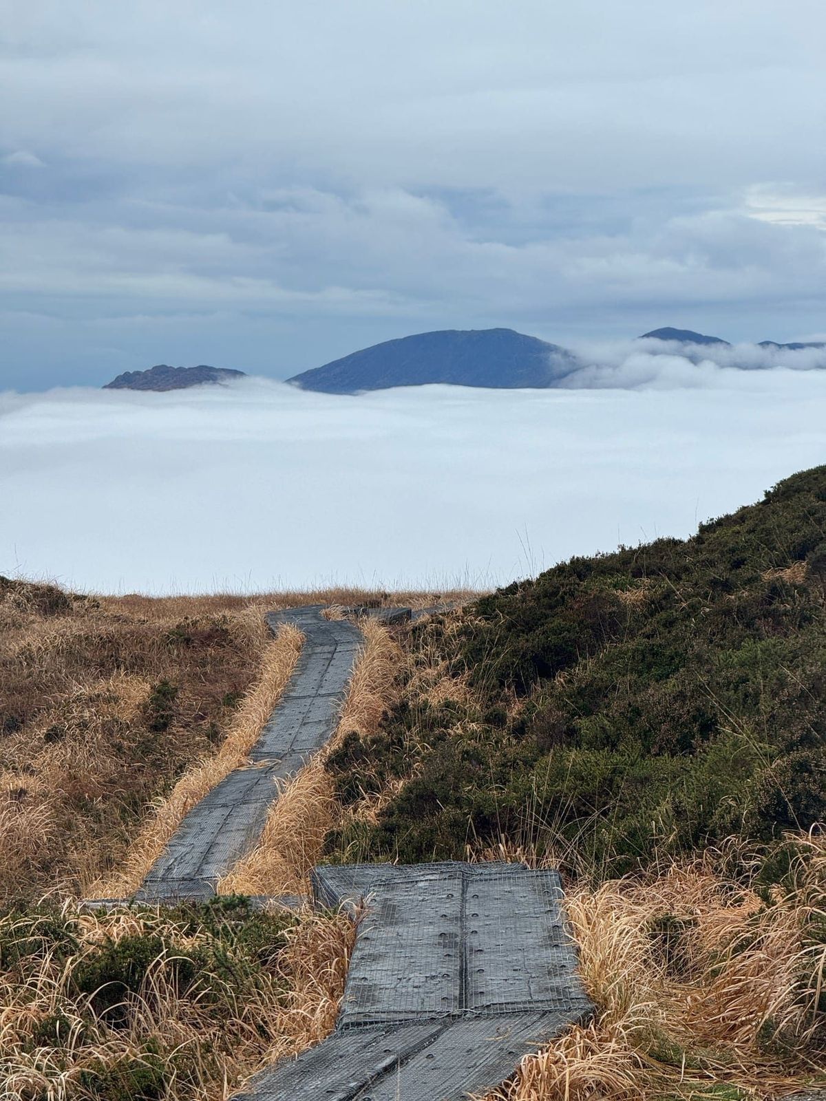 A boardwalk disappearing towards mountain summits rising over cloud