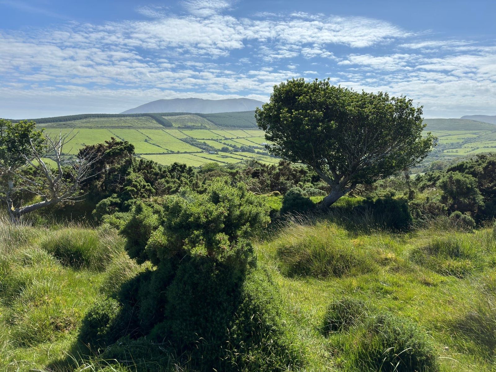 A green lane between old walls with fields and low hills beyond