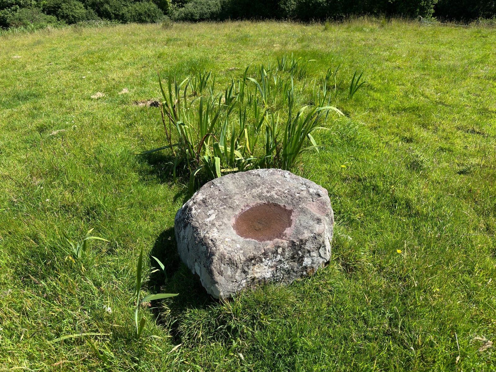 A weathered stone basin set into short grass