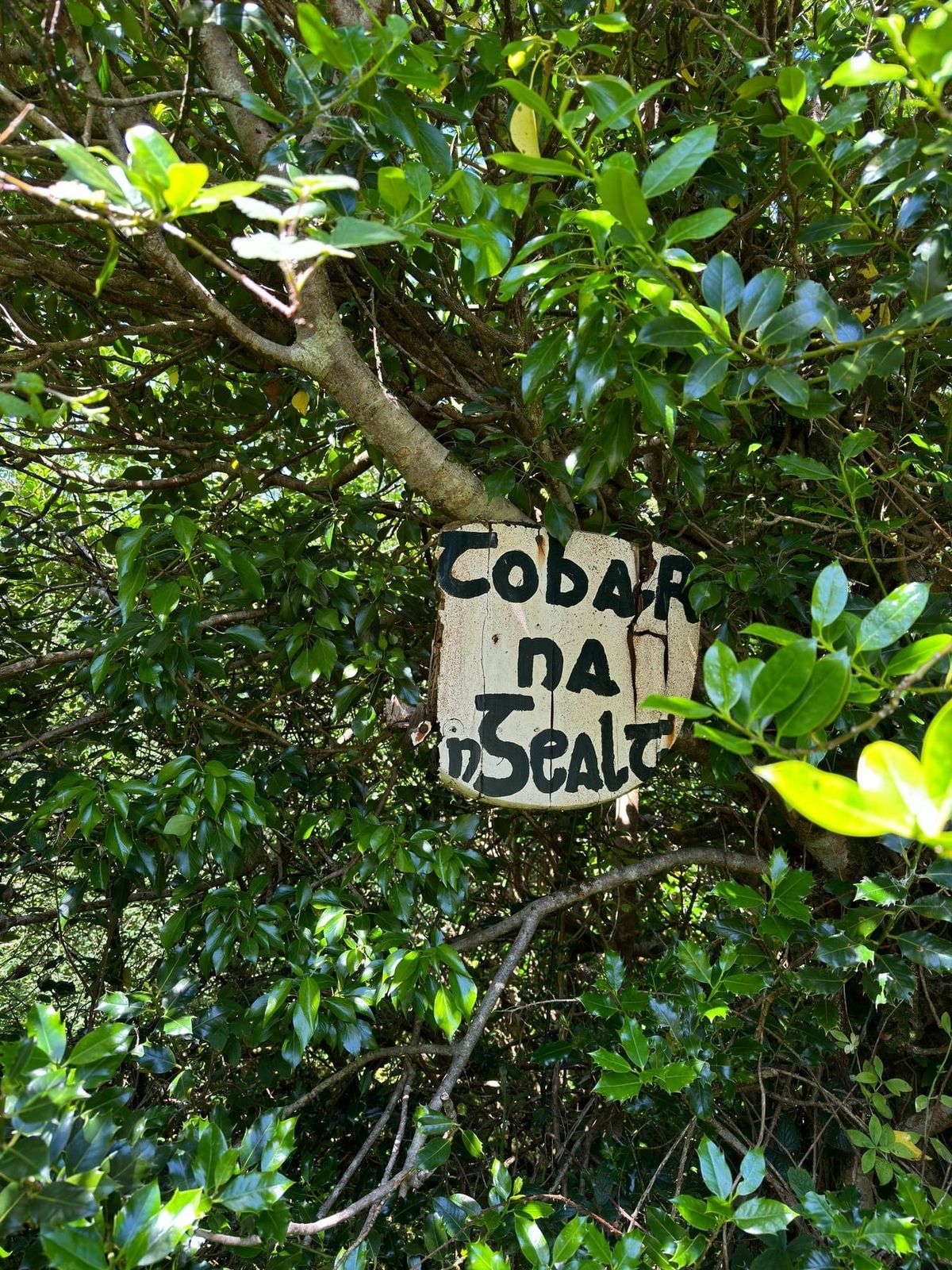 A handmade sign carrying the Irish placename Tobar na nGealt